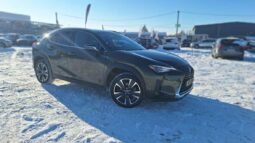 
										2020 LEXUS UX200 pilnas									