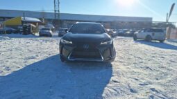 
										2020 LEXUS UX200 pilnas									