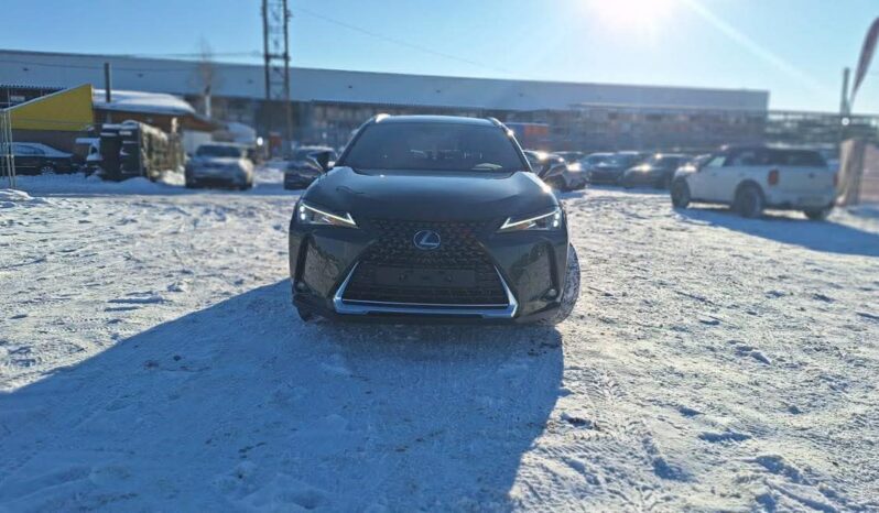 
								2020 LEXUS UX200 pilnas									