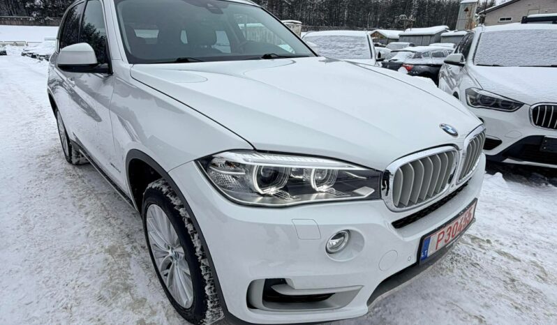 
								2014 BMW X5 pilnas									