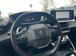 
										2020 PEUGEOT 2008 pilnas									