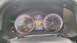 
										2015 LEXUS NX300H pilnas									