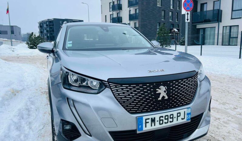 
								2020 PEUGEOT 2008 pilnas									