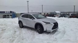 2015 LEXUS NX300H