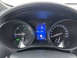 
										2020 TOYOTA CH-R pilnas									