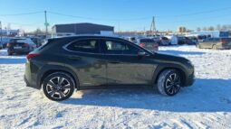 2020 LEXUS UX200