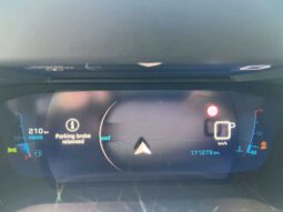 
										2020 PEUGEOT 2008 pilnas									