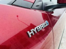 
										2020 TOYOTA CH-R pilnas									