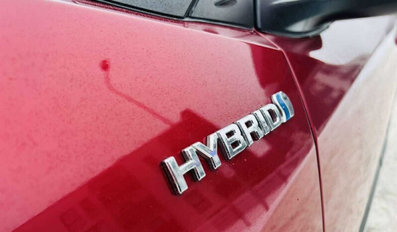 
								2020 TOYOTA CH-R pilnas									