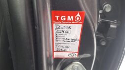 
										2018 TOYOTA C-HR pilnas									