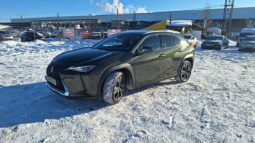 2020 LEXUS UX200