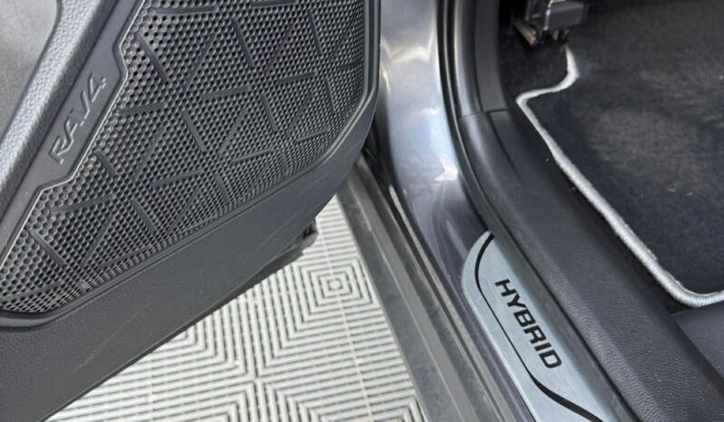 
								2019 TOYOTA RAV-4 pilnas									