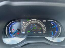 
										2019 TOYOTA RAV-4 pilnas									