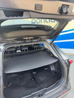 
										2019 TOYOTA RAV-4 pilnas									