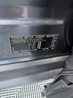 
										2019 TOYOTA RAV-4 pilnas									