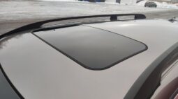 
										2010 VOLVO XC70 pilnas									