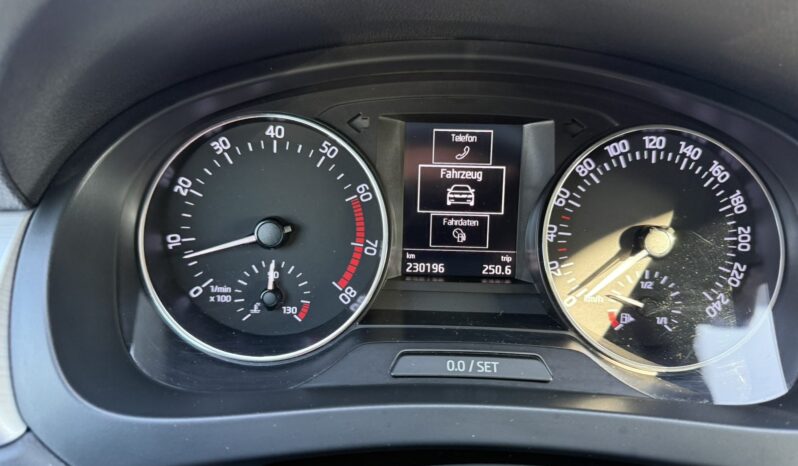 
								2017 SKODA RAPID pilnas									