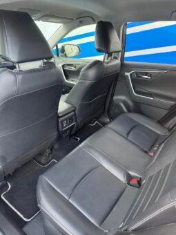 
										2019 TOYOTA RAV-4 pilnas									