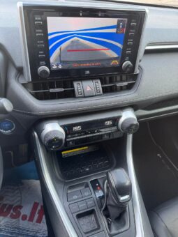 
										2019 TOYOTA RAV-4 pilnas									