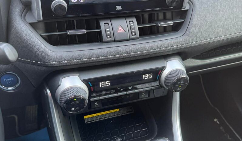 
								2019 TOYOTA RAV-4 pilnas									