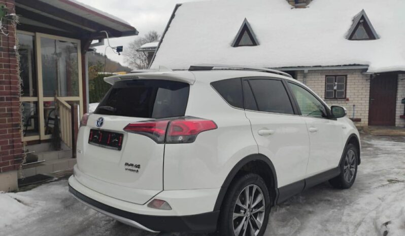 
								2016 TOYOTA RAV-4 pilnas									