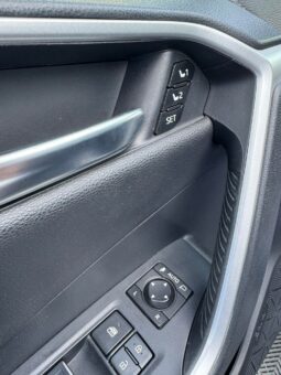 
										2019 TOYOTA RAV-4 pilnas									