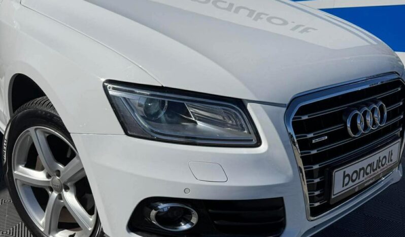 
								Audi Q5 pilnas									