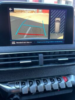 
										2019 PEUGEOT 5008 pilnas									