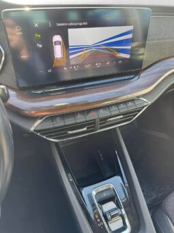 
										Skoda Octavia Scout pilnas									